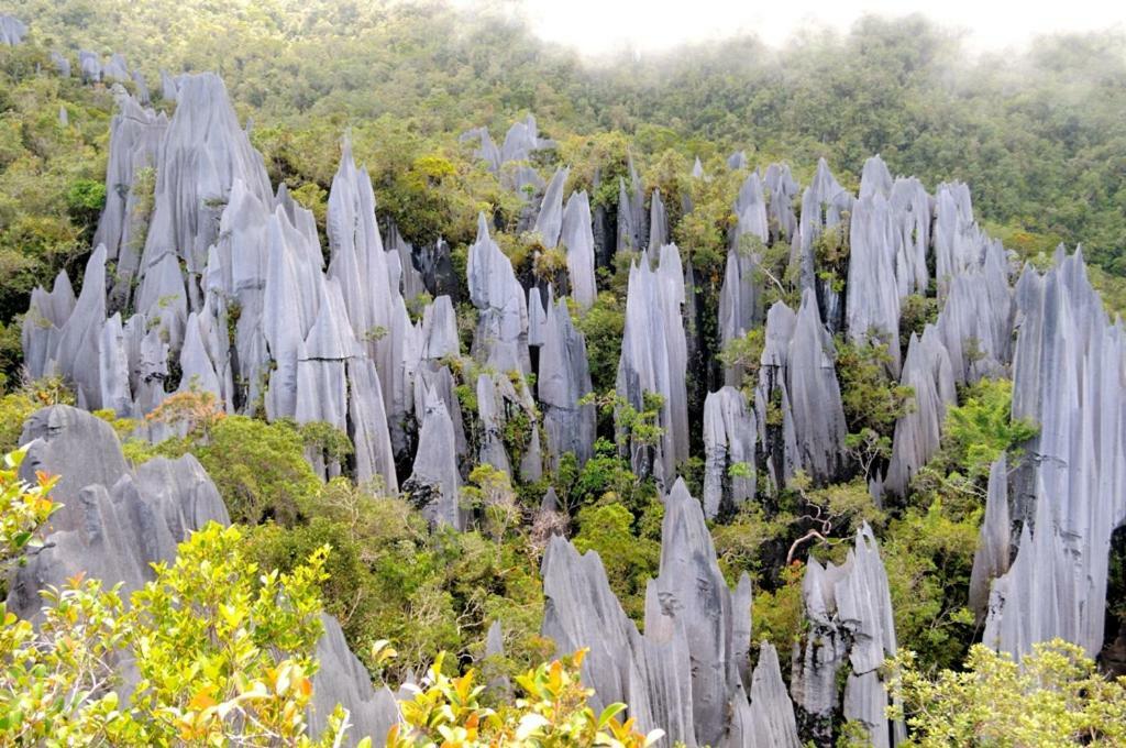 Mulu National Park 호텔 외부 사진