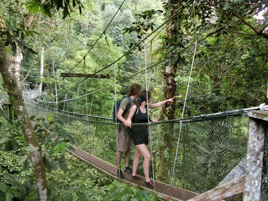 Mulu National Park 호텔 외부 사진