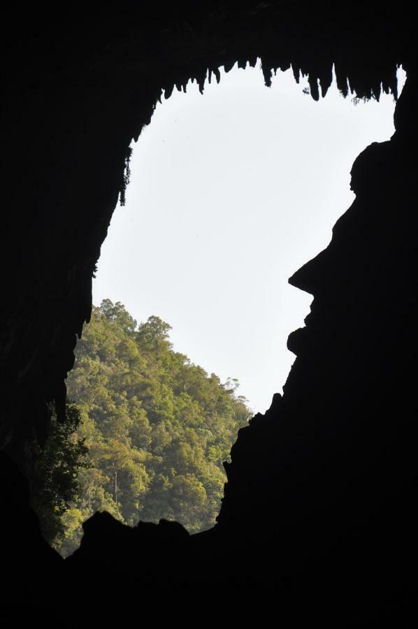 Mulu National Park 호텔 외부 사진